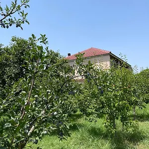 Privatunterkunft Mance, Berat